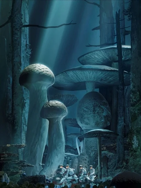 Грибок и железо